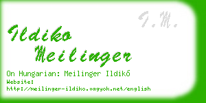 ildiko meilinger business card